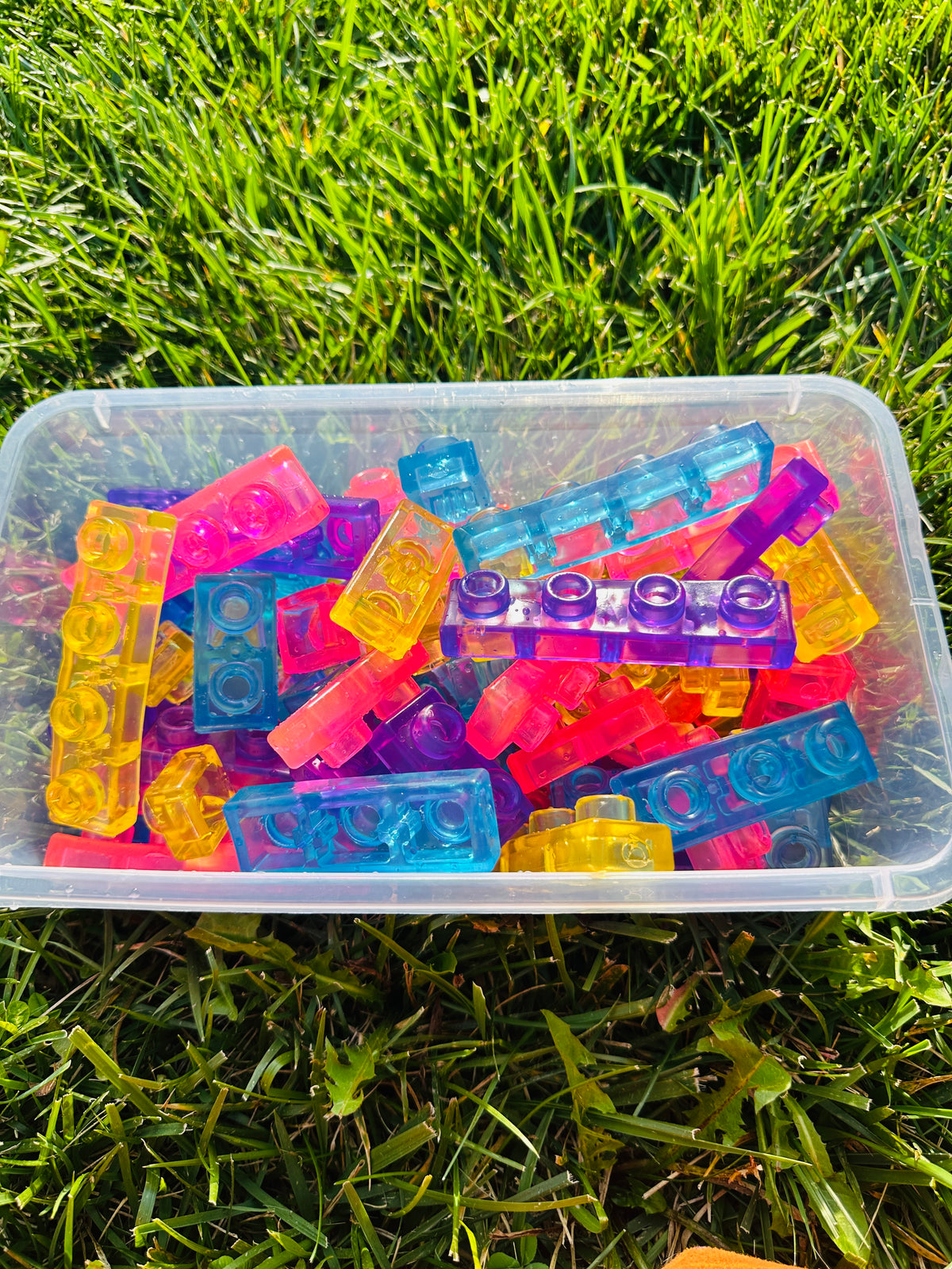 Jelly Building Blocks | Squishy Sensory Building Blocks for Kids