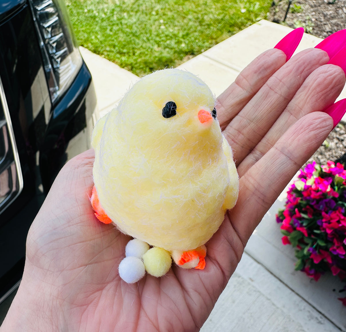 Egg-Laying Squishy Chick