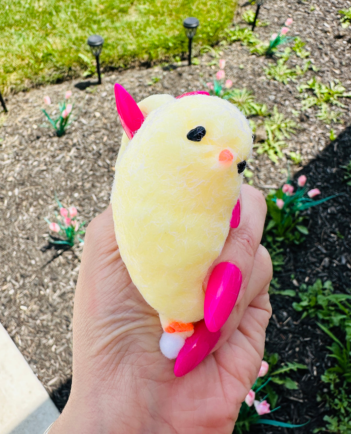Egg-Laying Squishy Chick